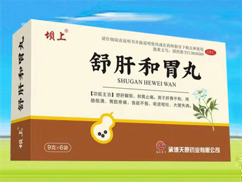 舒肝和胃丸 舒肝和胃丸